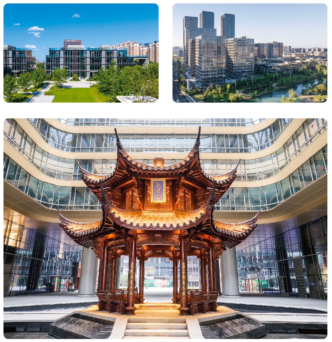 尊时凯龙·(中国区)人生就是搏!